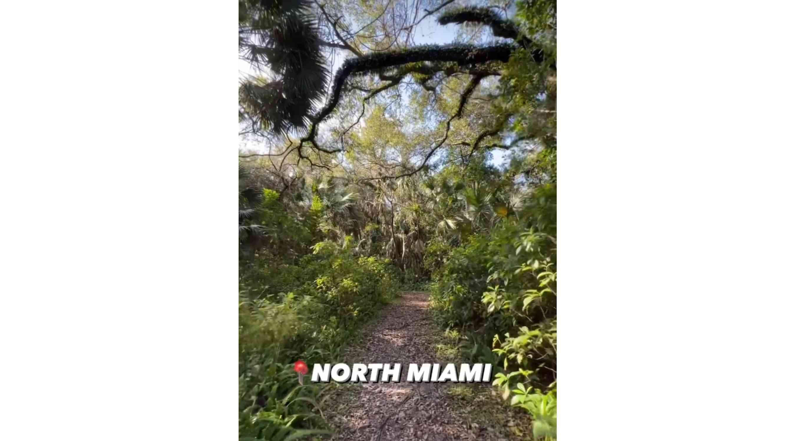 Arch Creek Park,North Miami