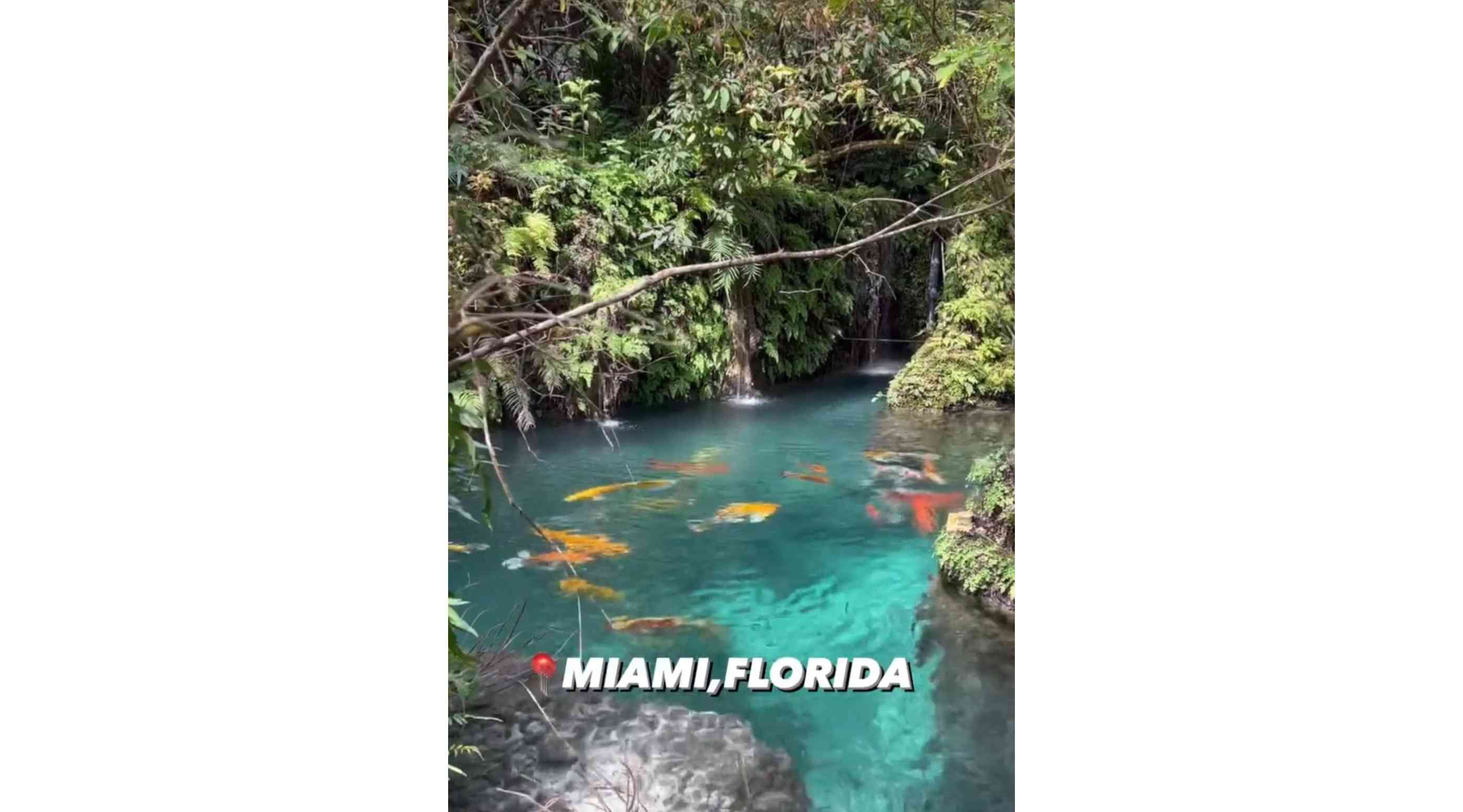peakacity on Instagram