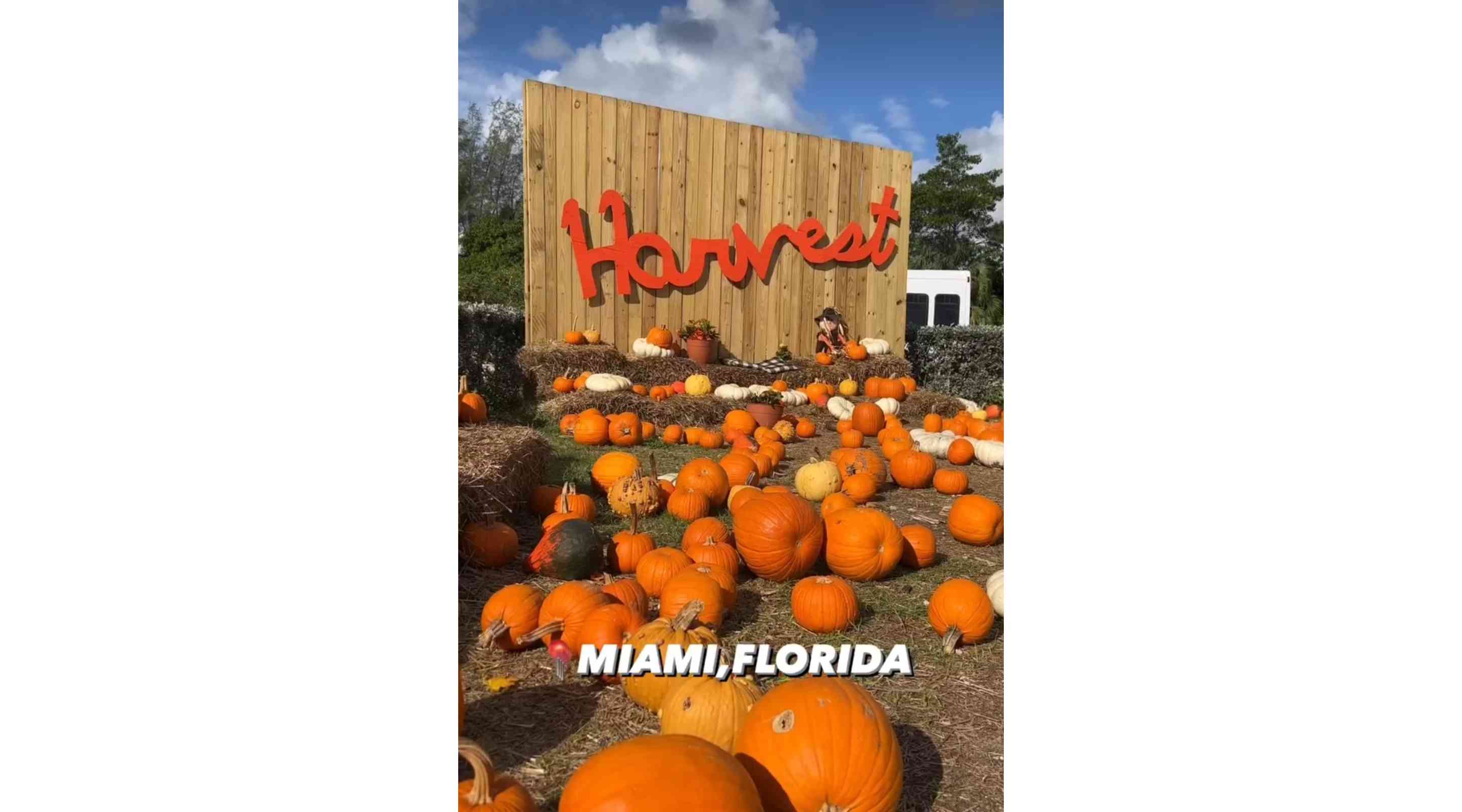 The Berry Farms, Miami