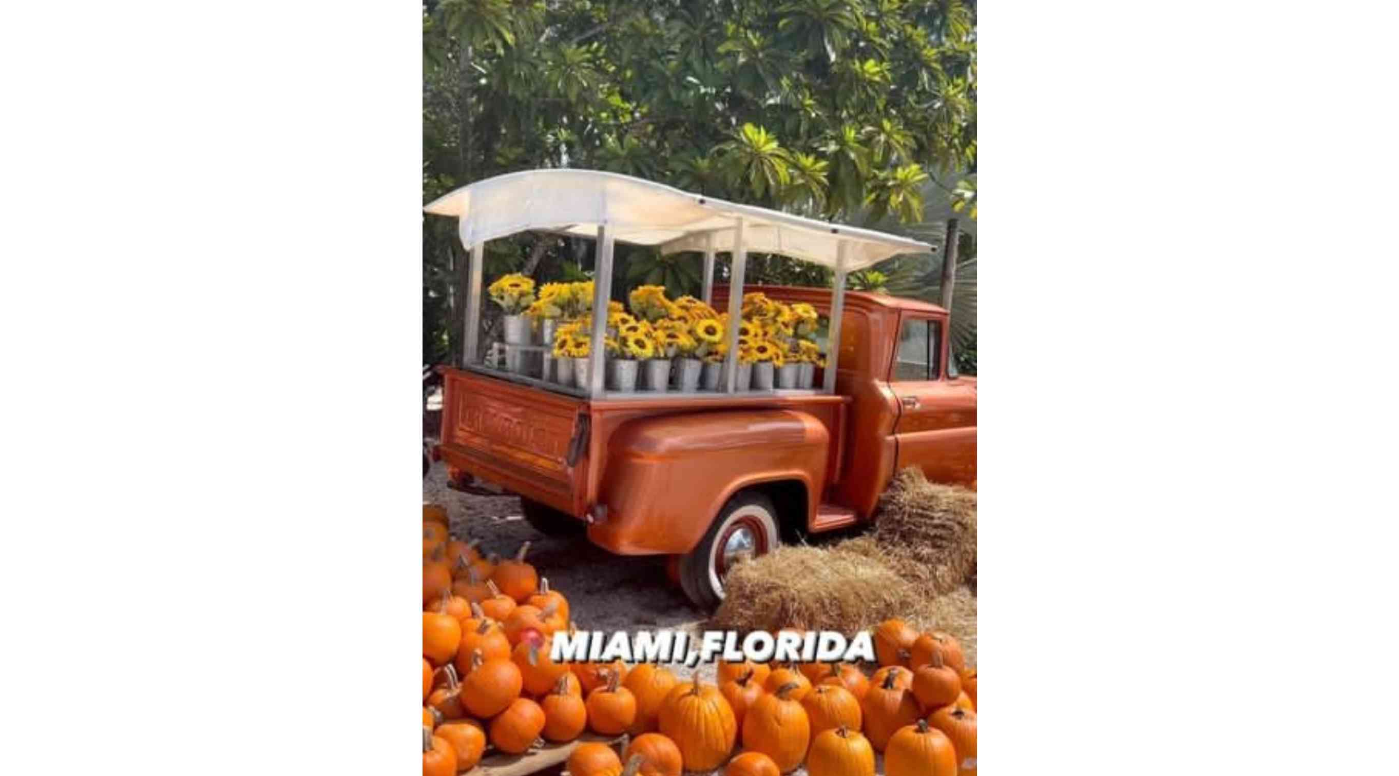 Pintos Farm, Miami