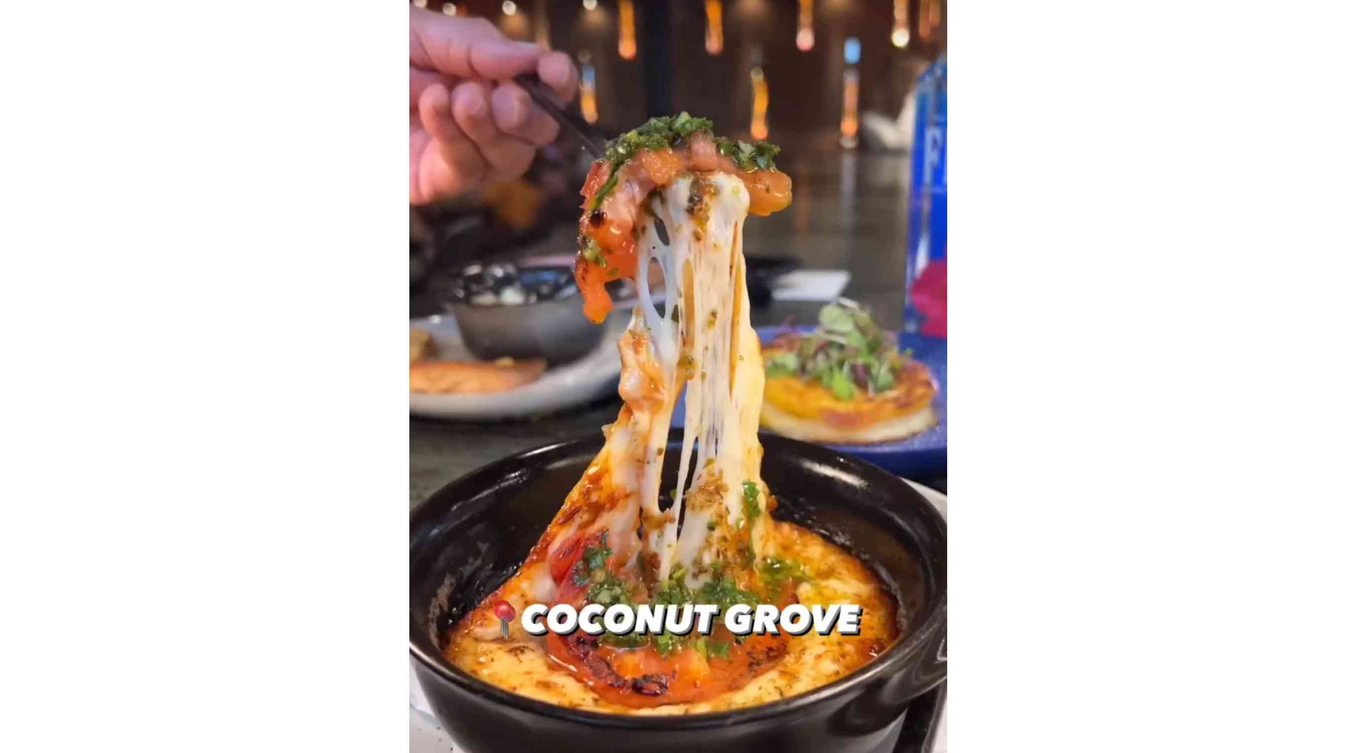 Botanico, Coconut Grove