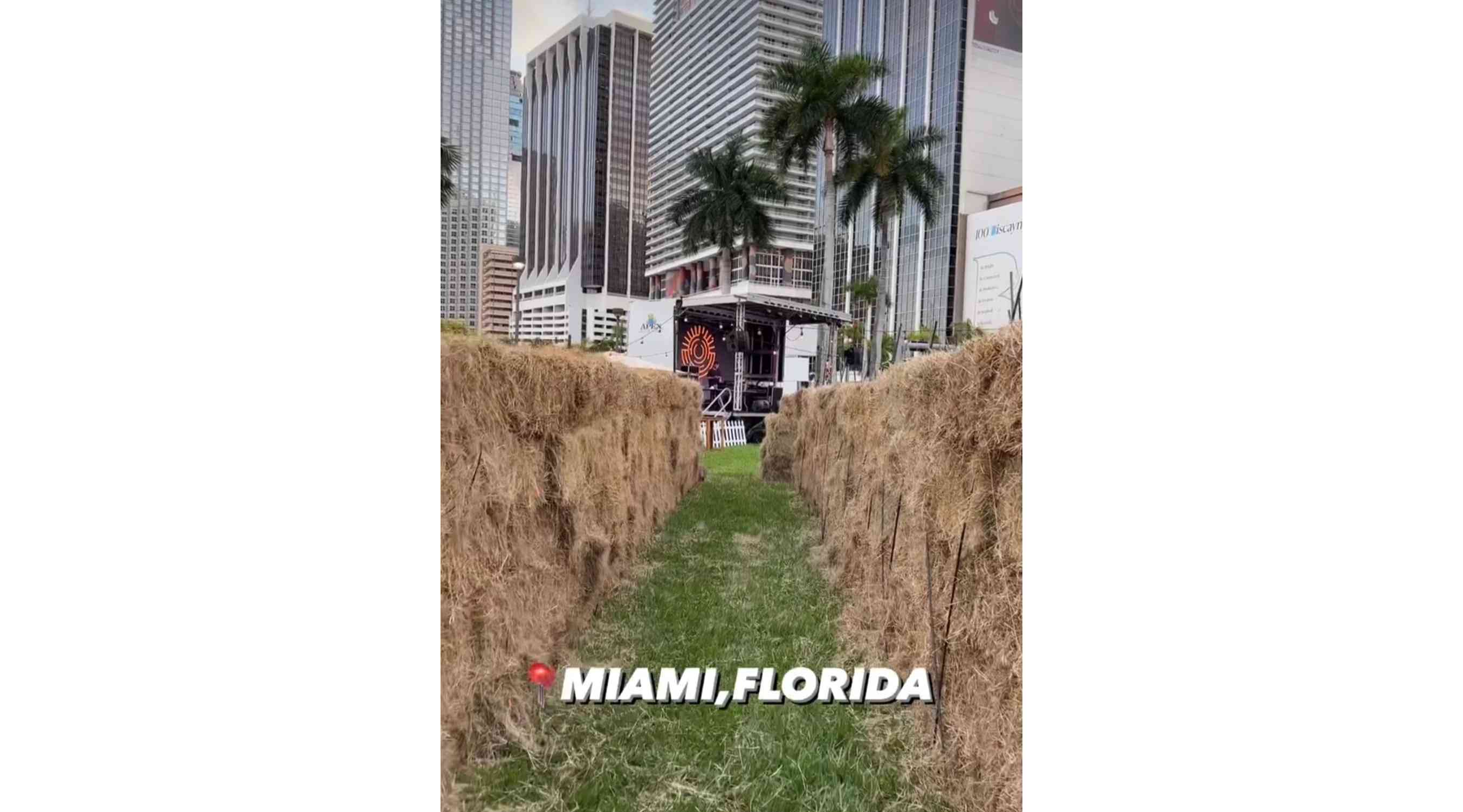 Hay Maze, Miami (in front of Bayfront Park