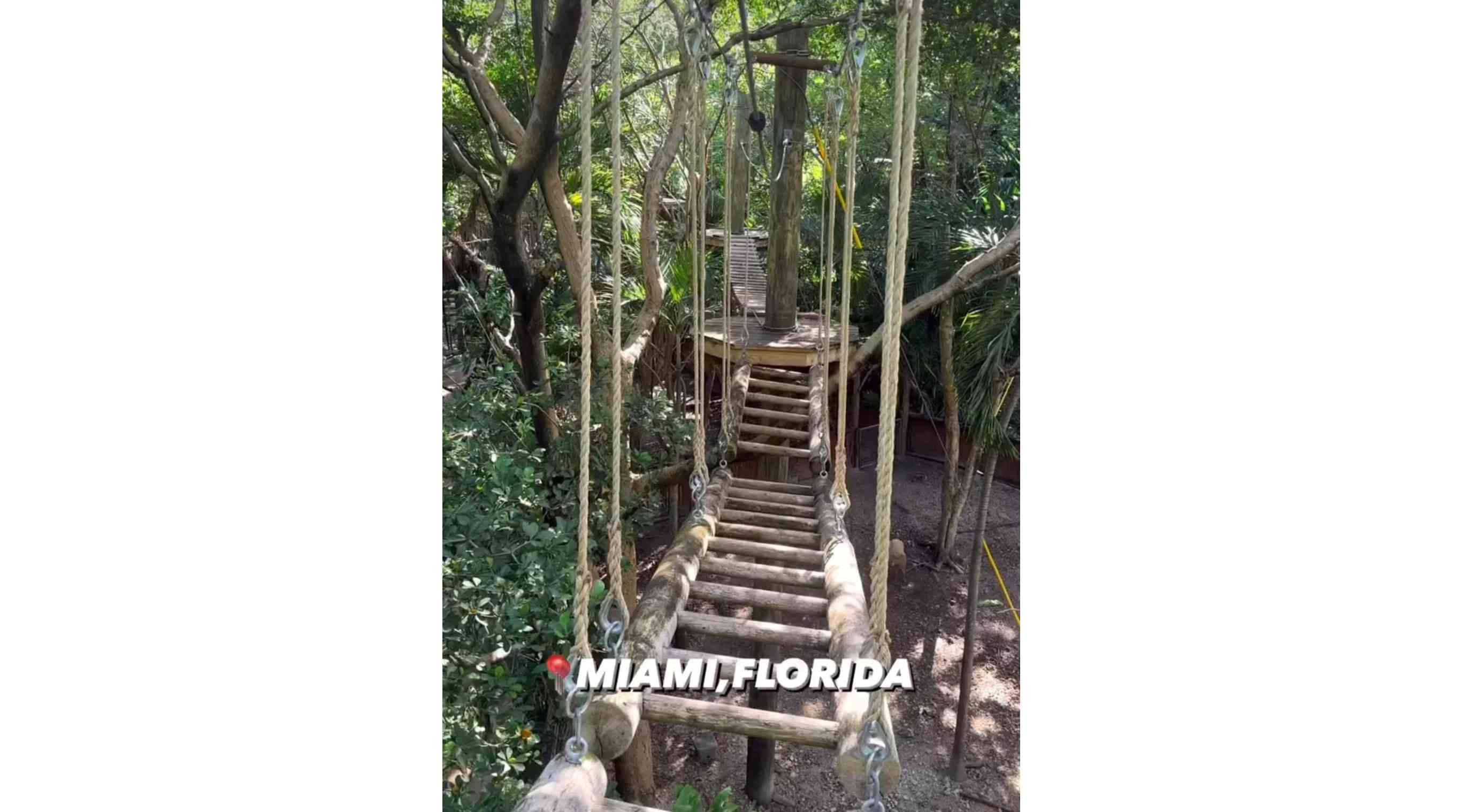 Treetop Treeking Miami
