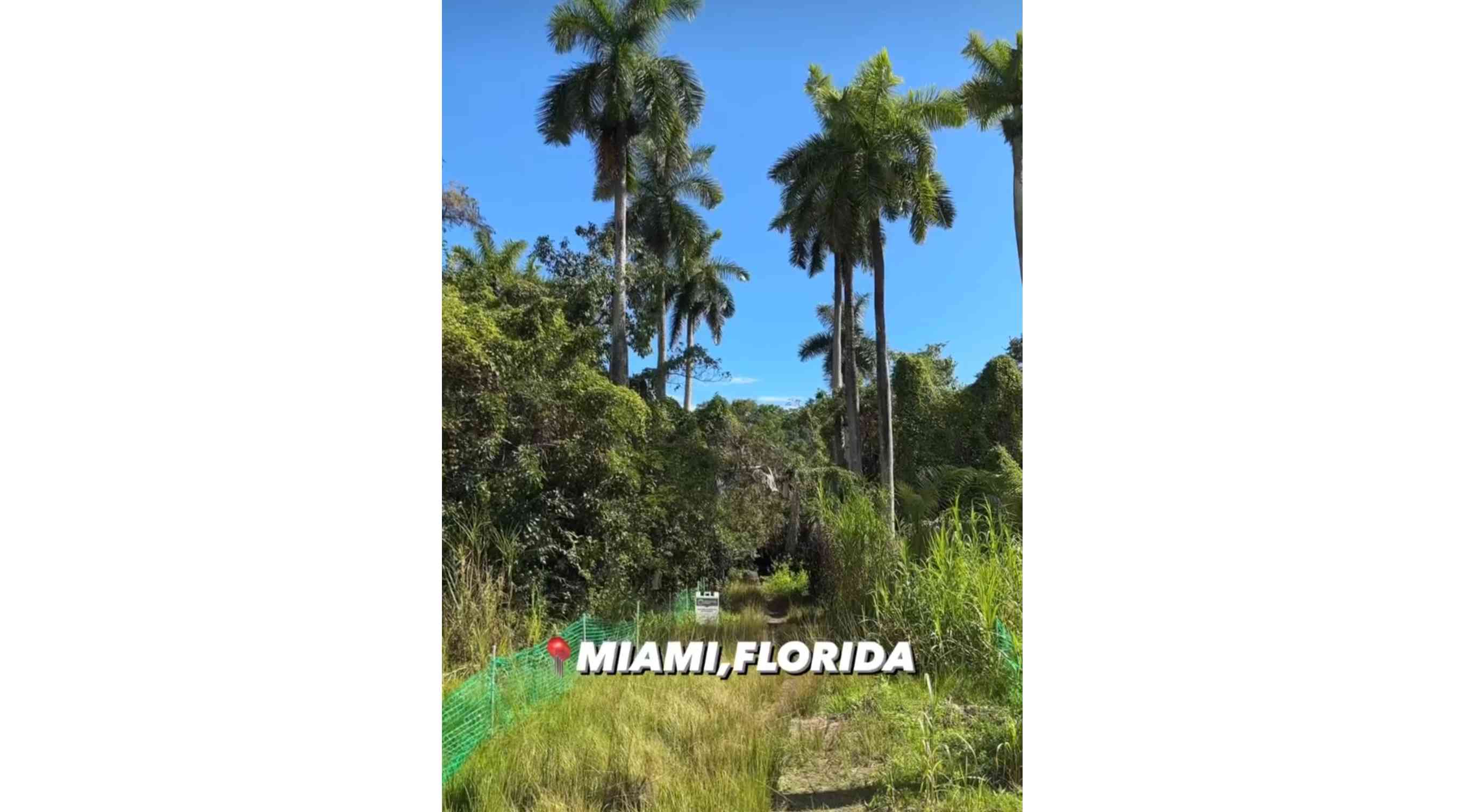 Matheson Hammock Park, Coral Gables