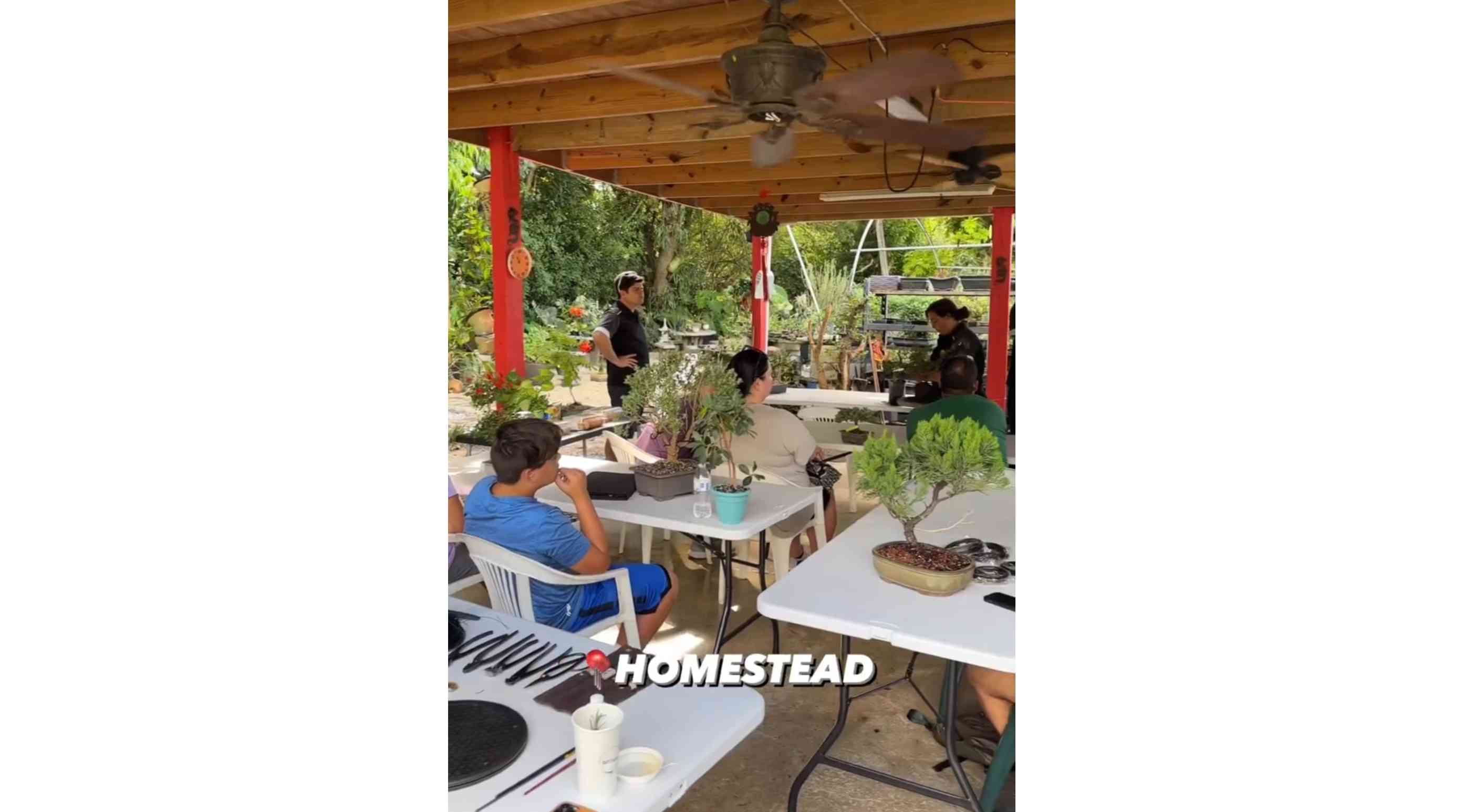 Miami Bonsai Specialist, Miami