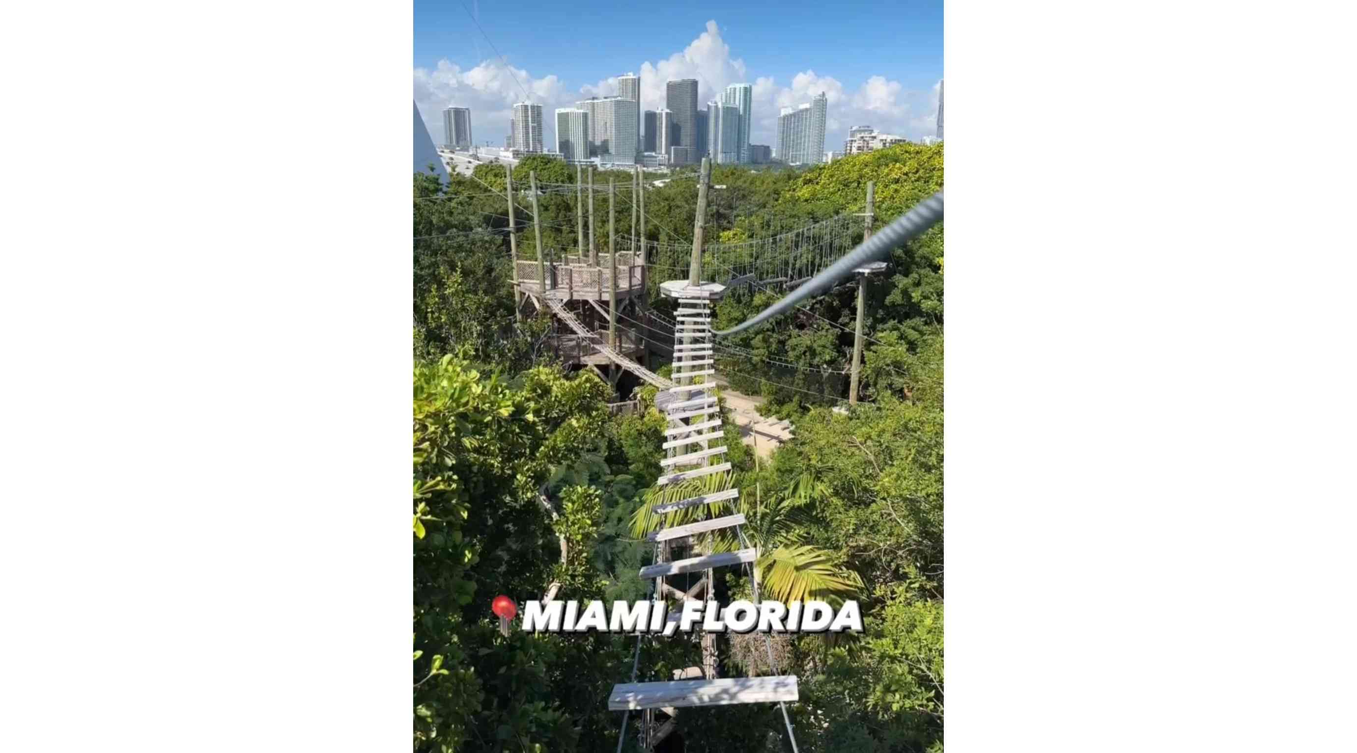 Treetop Treeking Miami, Jungle Island