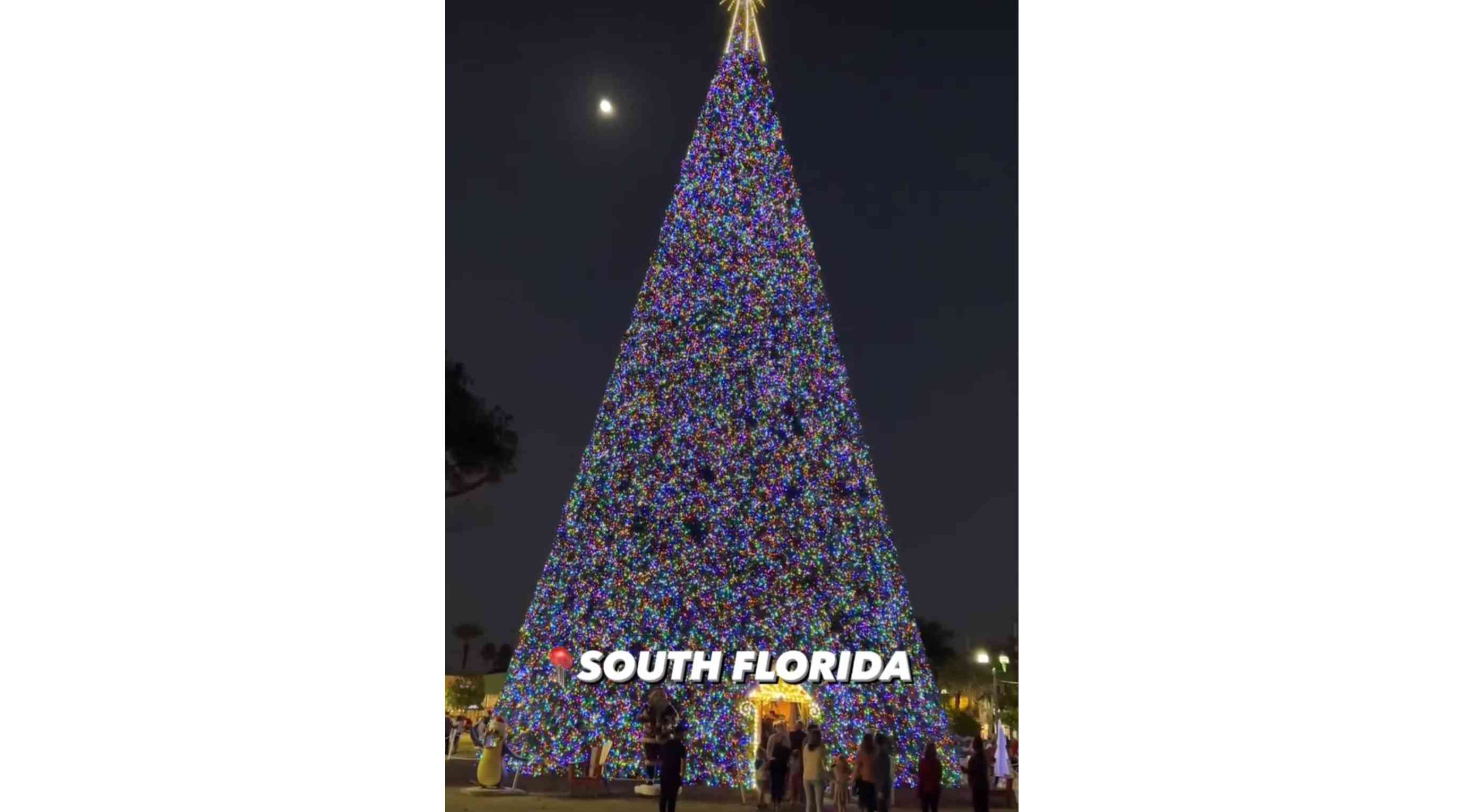 100 Foot Christmas Tree, Delray Beach