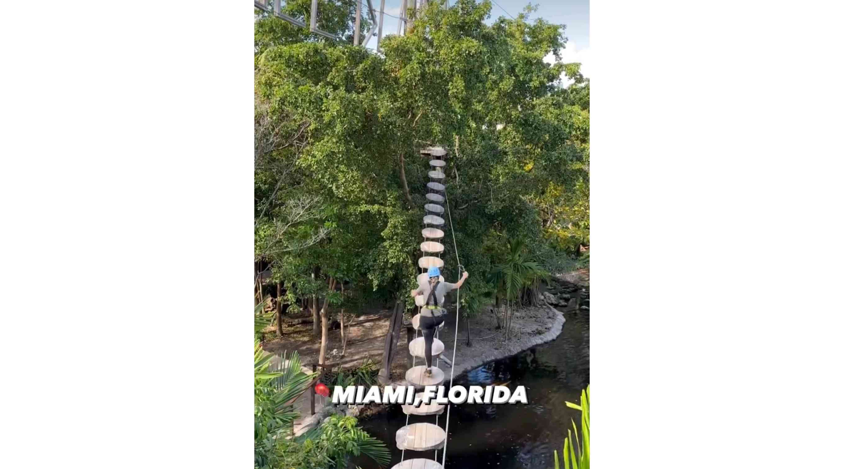 Treetop Trekking Miami