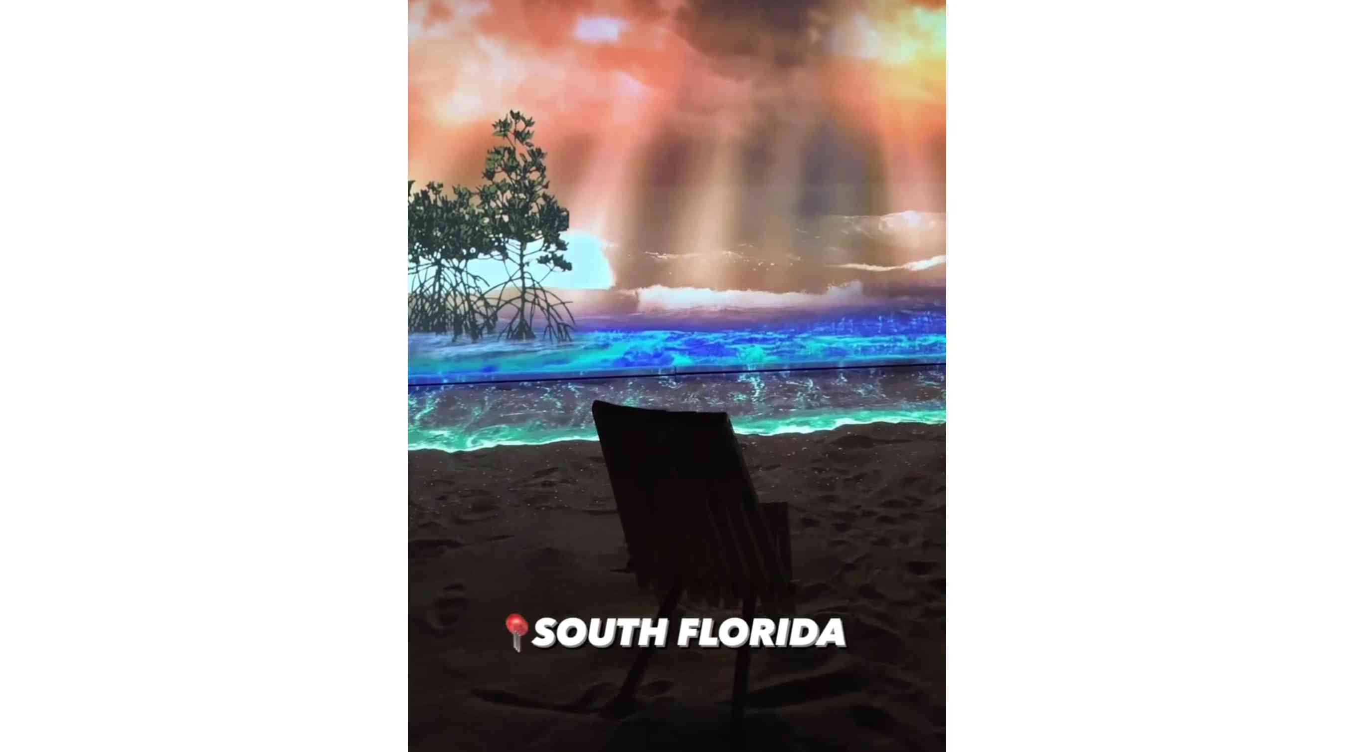 Ignite Broward, Mad Arts 