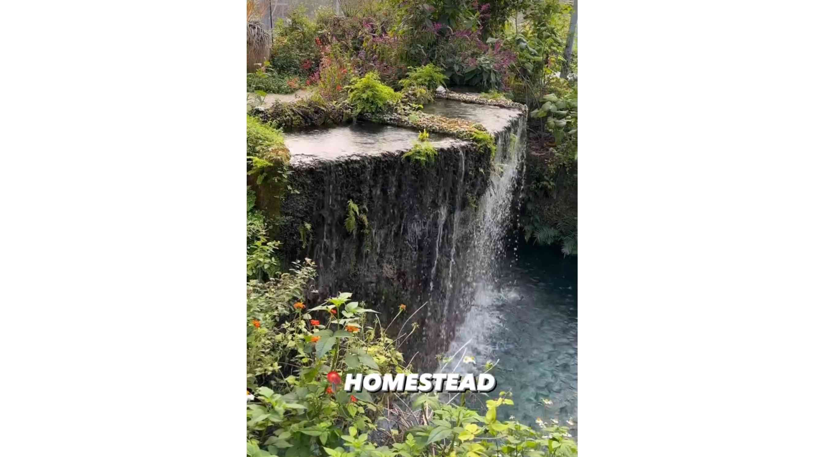 Patch Of Heaven Sanctuary