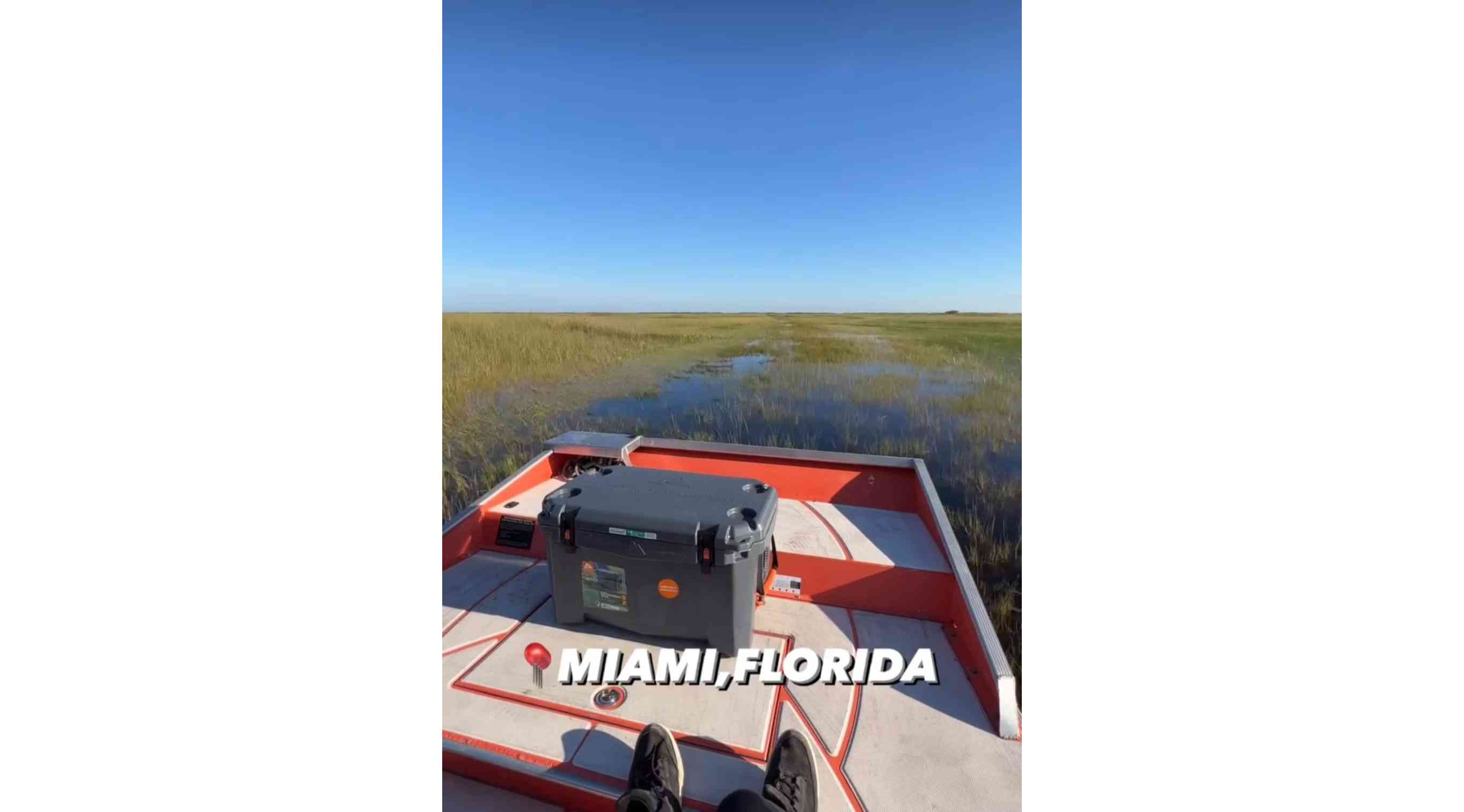 Airboat Adventures_everglades