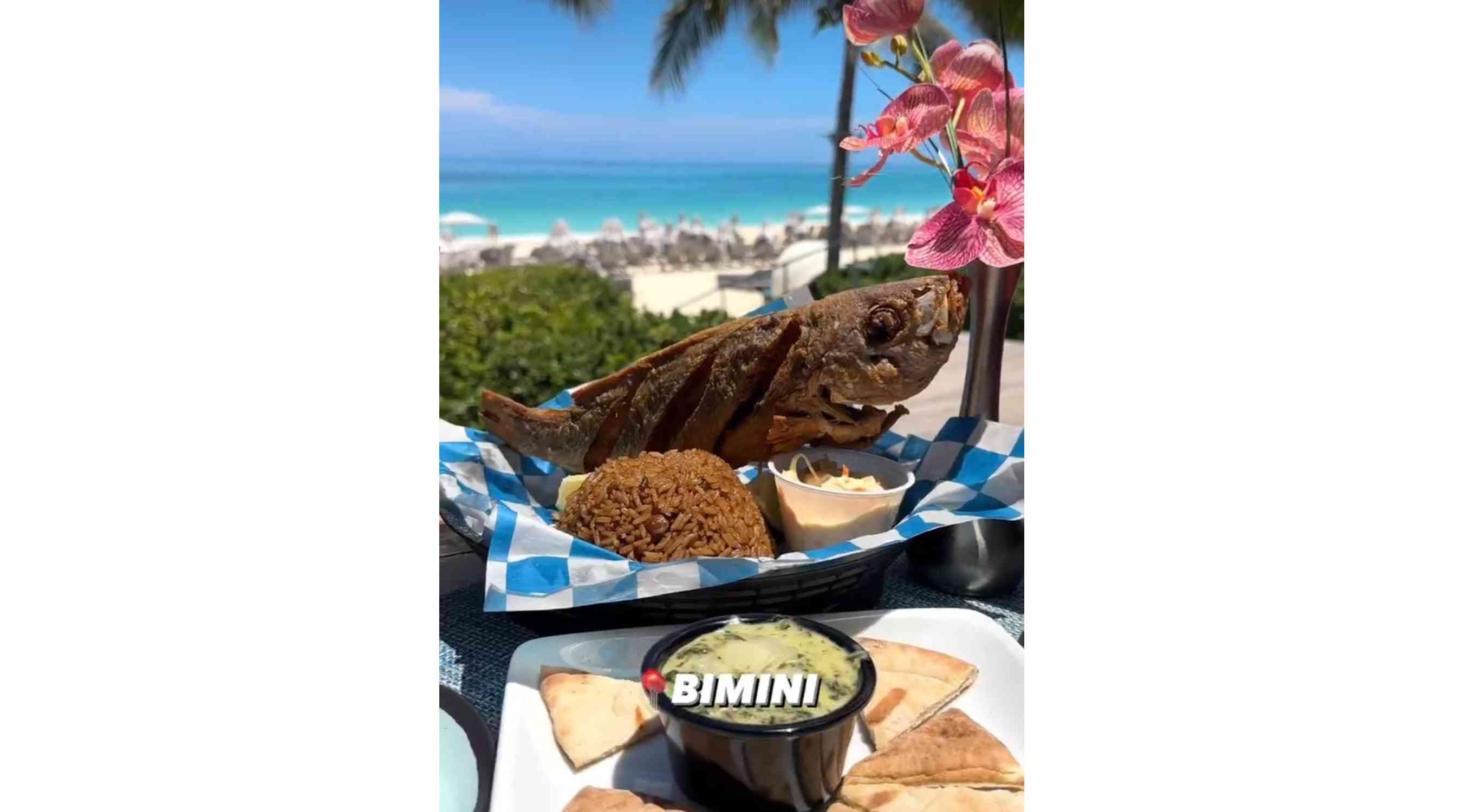 The REAL Foodie Finds 