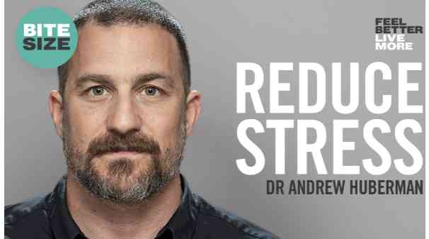 REDUCE STRESS | DR ANDREW HUBERMAN 