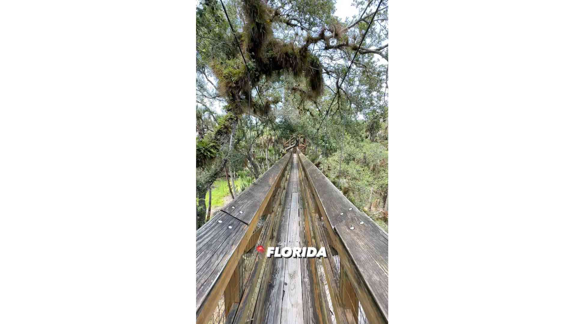 Myakka River State Park, Sarasota