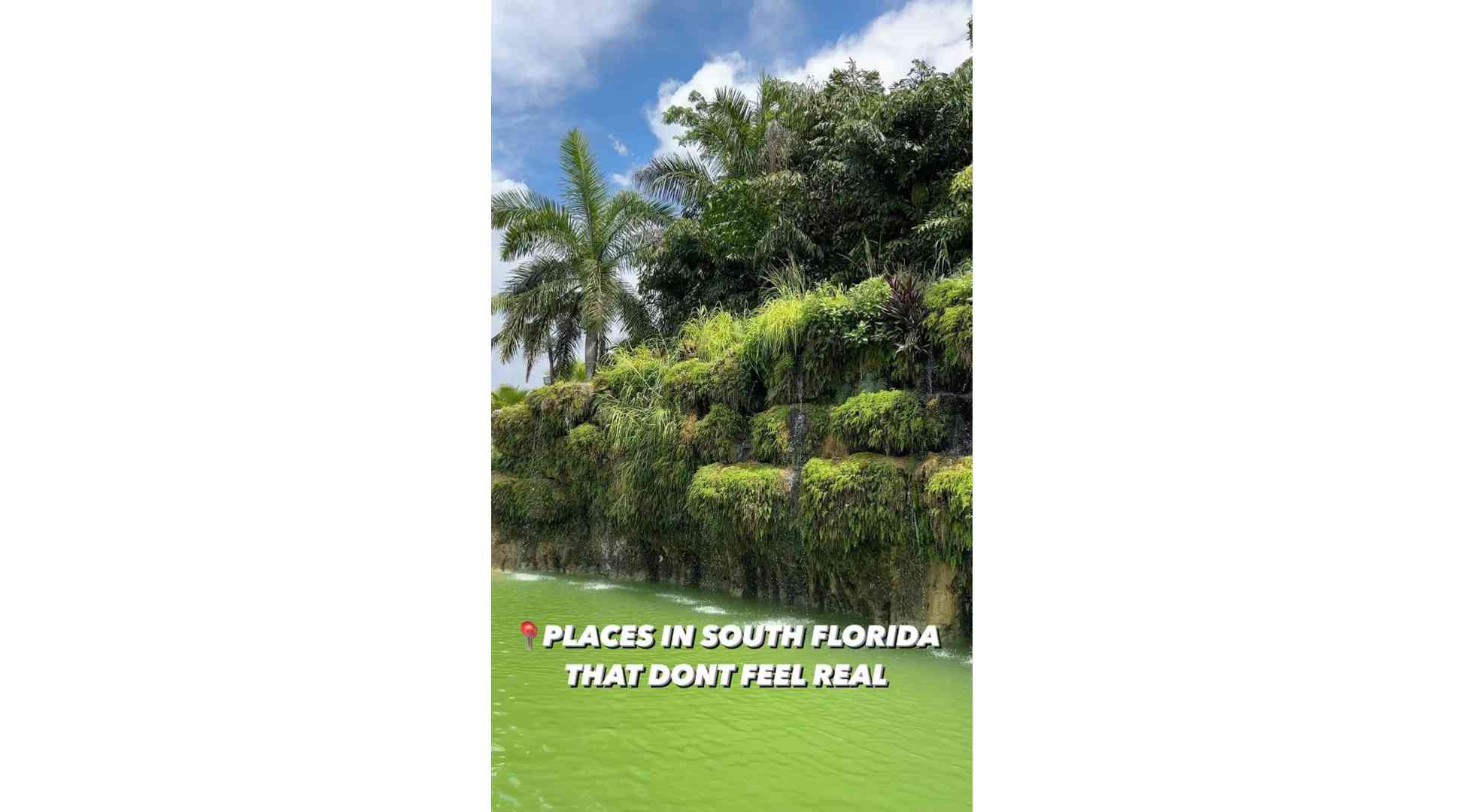 Places In South Florida That Don’t Feel Real