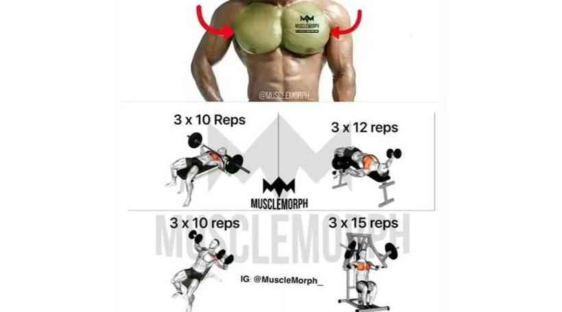 CHEST