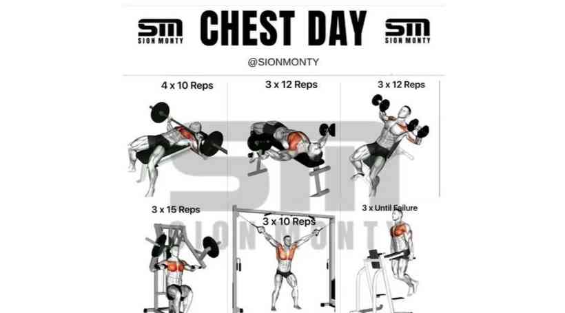 CHEST DAY
