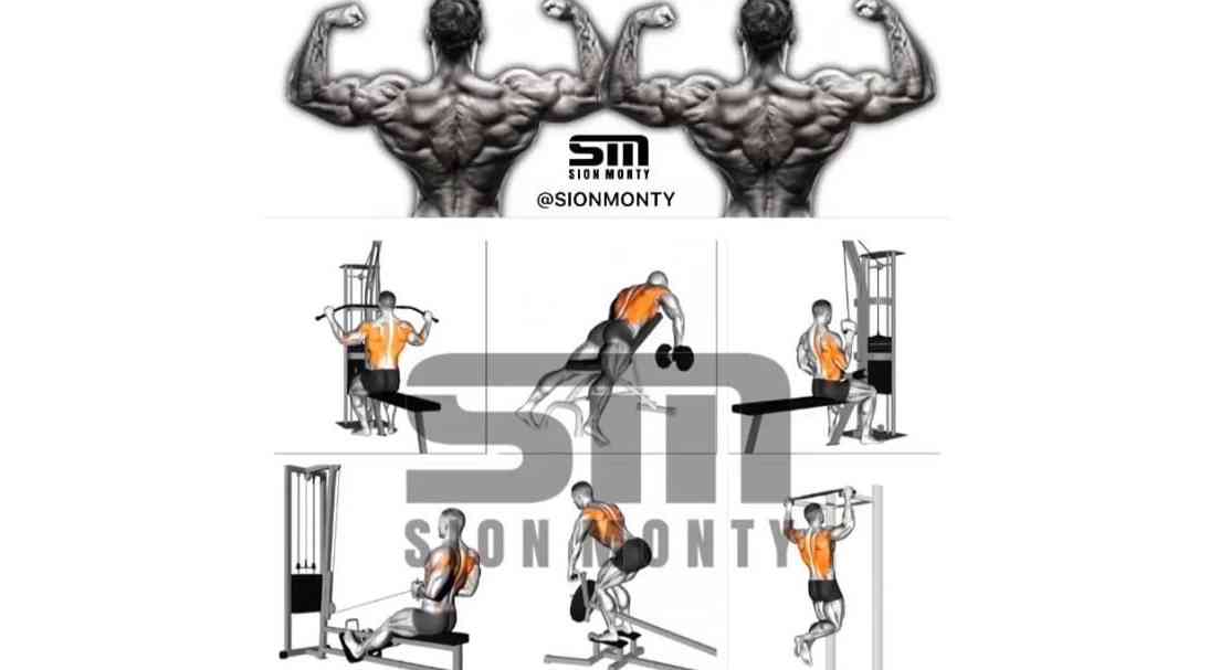 Back day