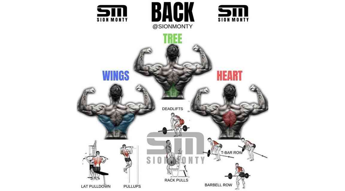 Back 