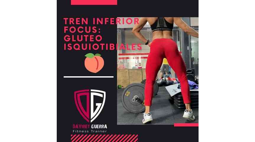 Gluteos isquiotibiales 
