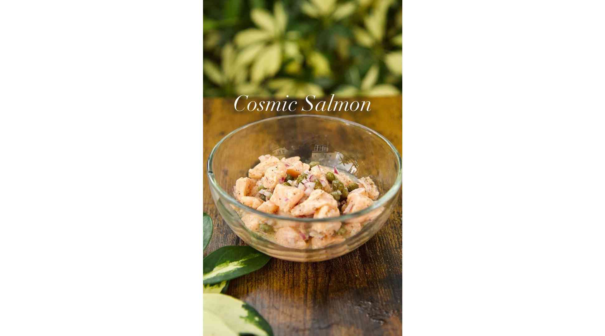 Cosmic Salmon Ceviche.
