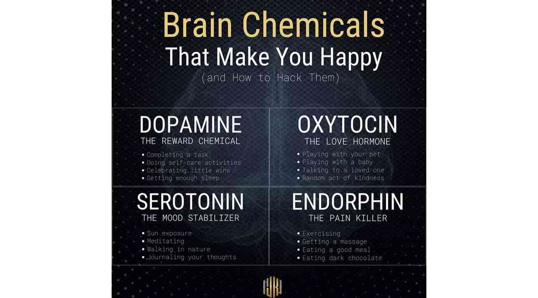 Brain Chemicals by Jim Kwik