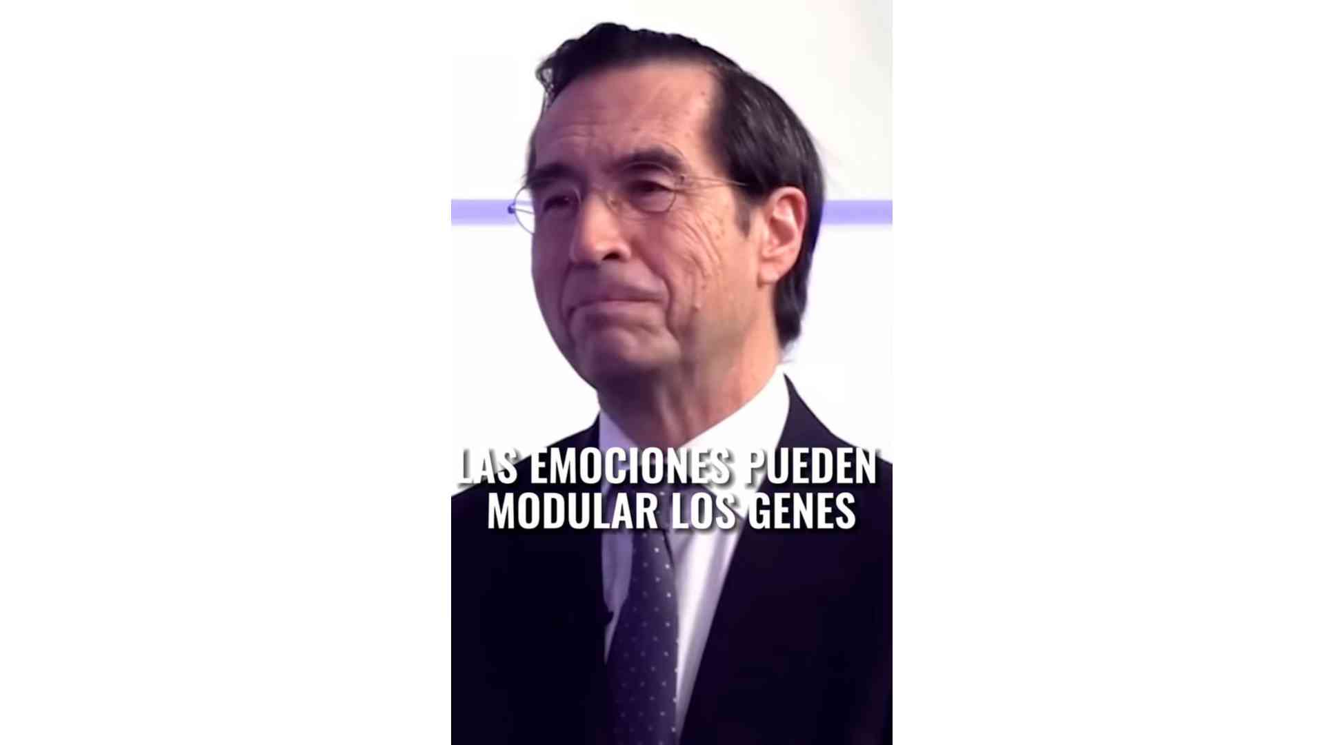 Estado de alerta sostenido 