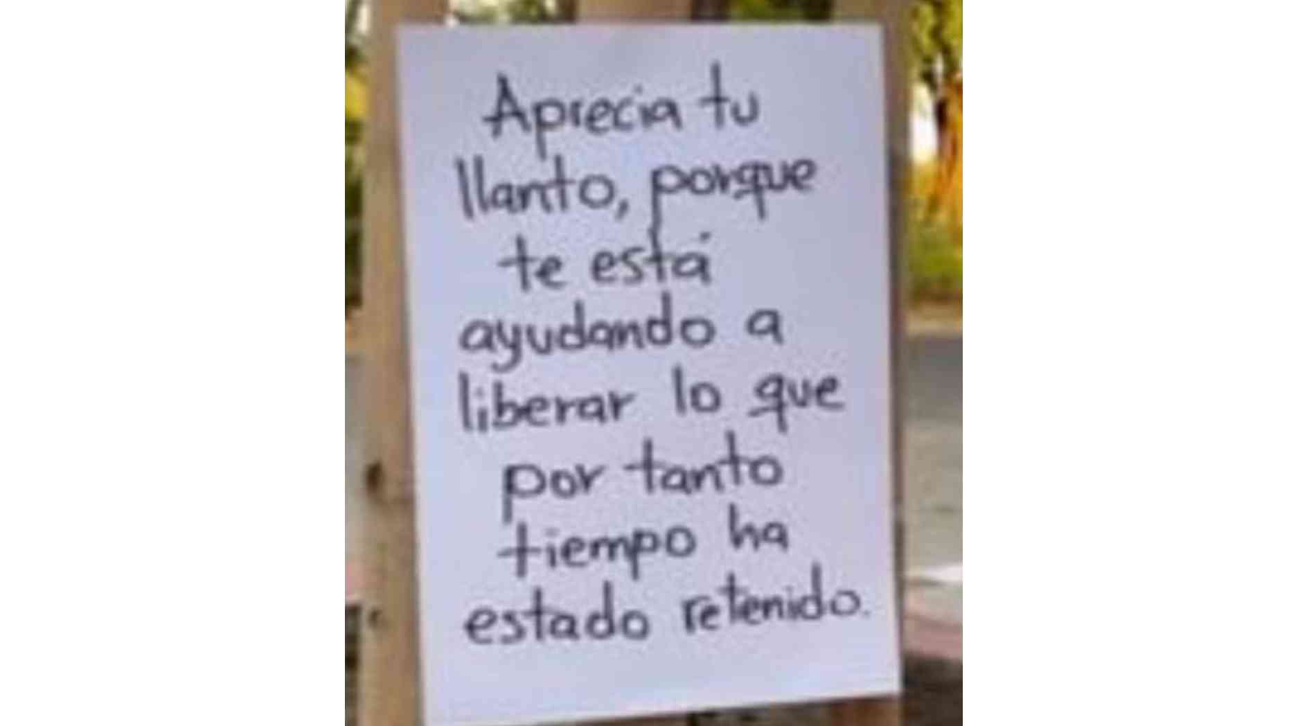 Aprecia tu llanto