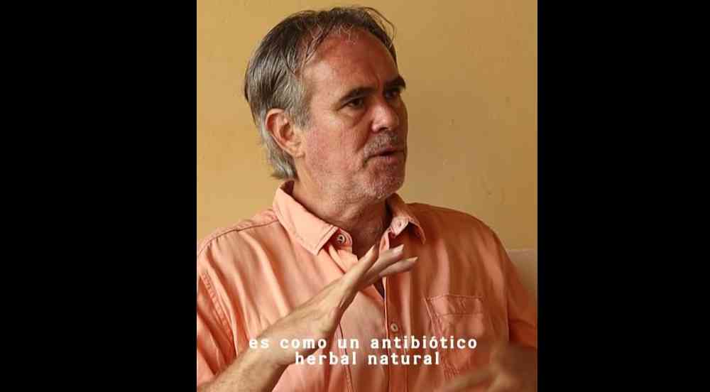 Agracejo antibiótico herbal natural 