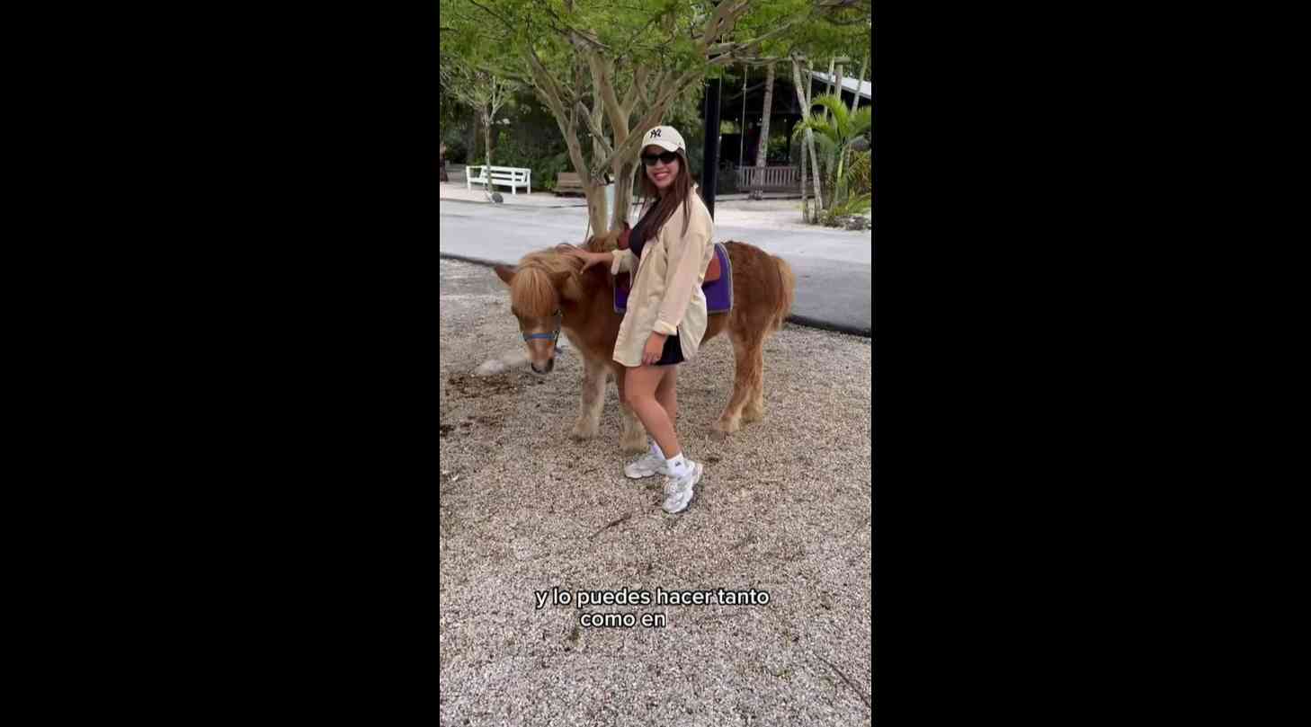 Este lugar tiene de todo en Miami
