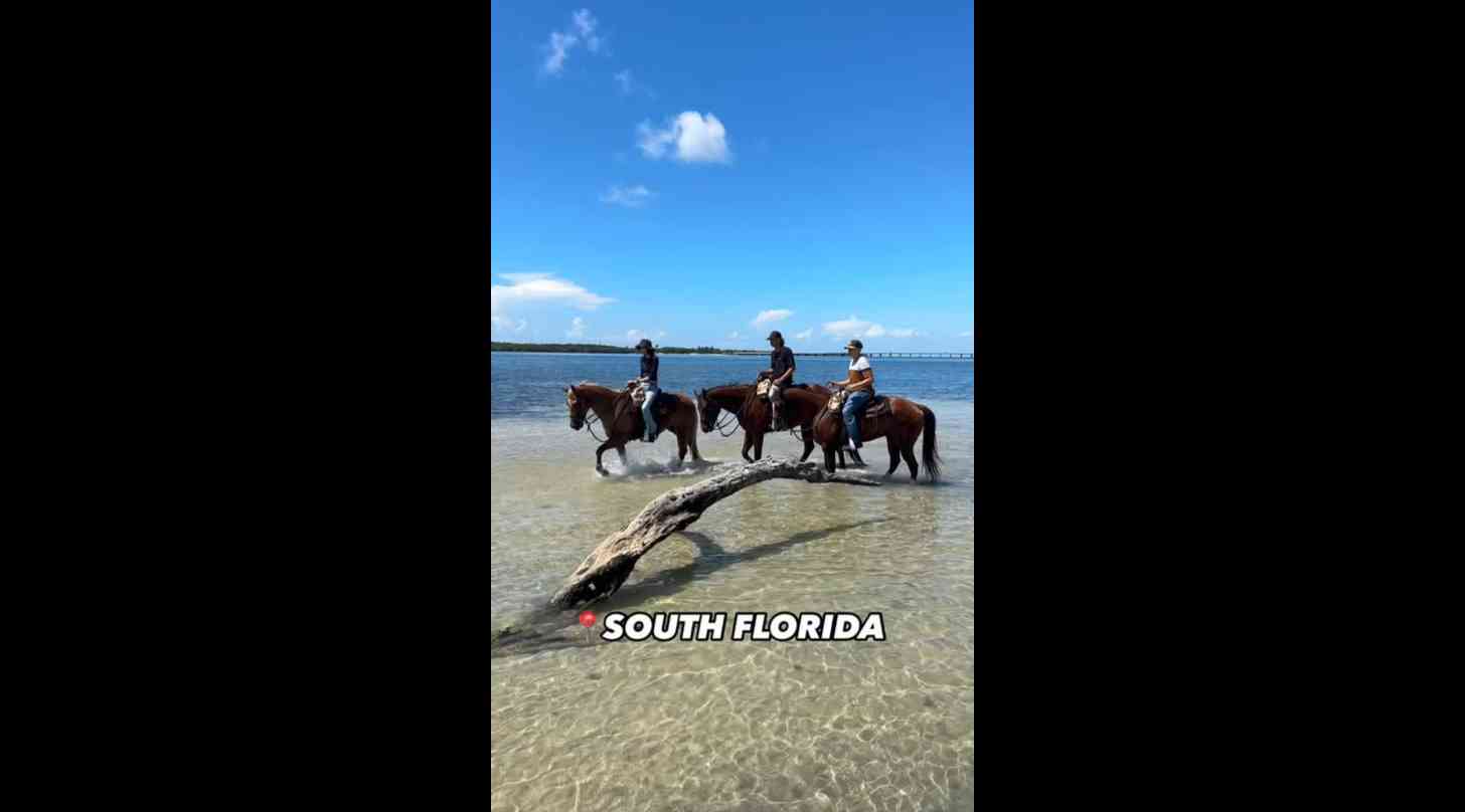 South Florida weekends plans