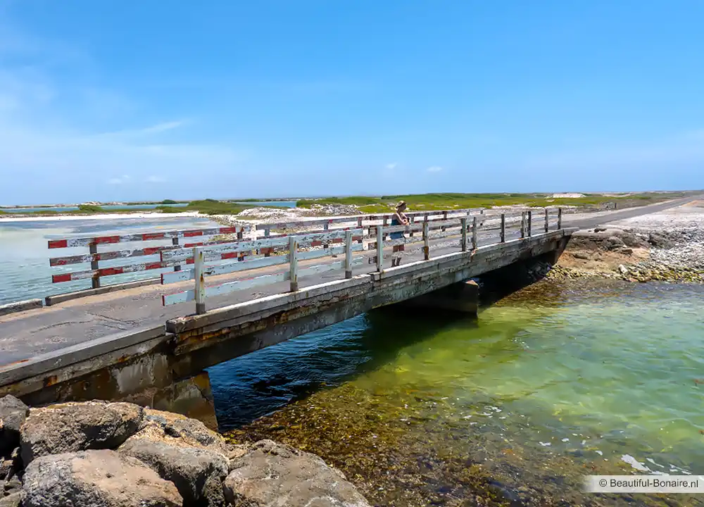 Where is Bonaire? Caribbean Travel Guide | Beautiful Bonaire