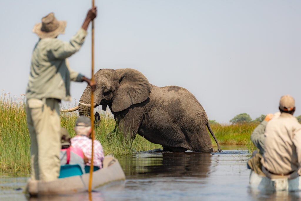 Wild Encounters: Top 10 Destinations for African Safaris