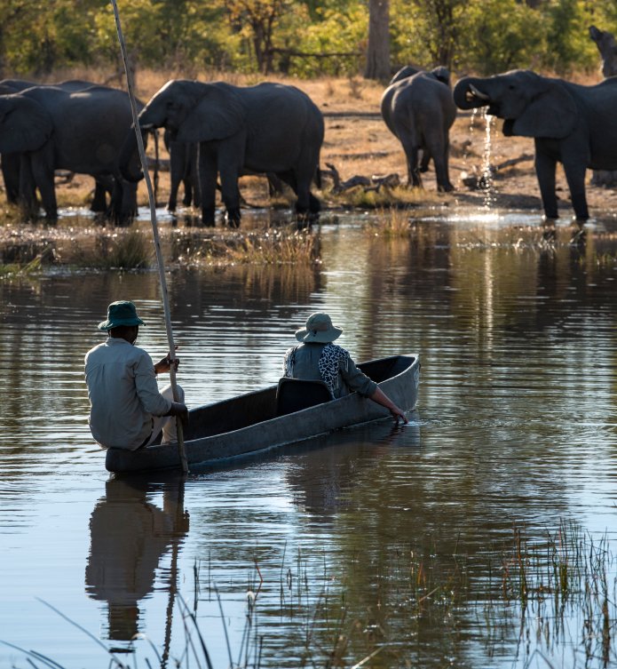 The Significance of a Mokoro Safari