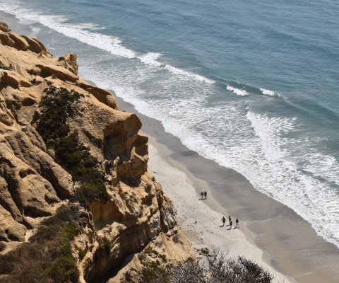 Torrey Pines State Natural Reserve: A rare and magnificent glimpse of unspoiled Southern California coastline