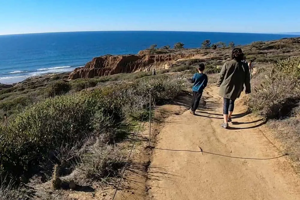 Beach Trail Guide - Torrey Pines State Reserve | Outdoor SoCal