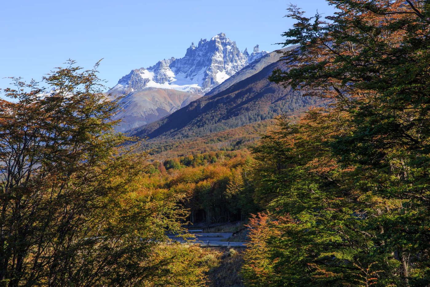 Trekking in Cerro Castillo: Must-Sees in This Natural Paradise