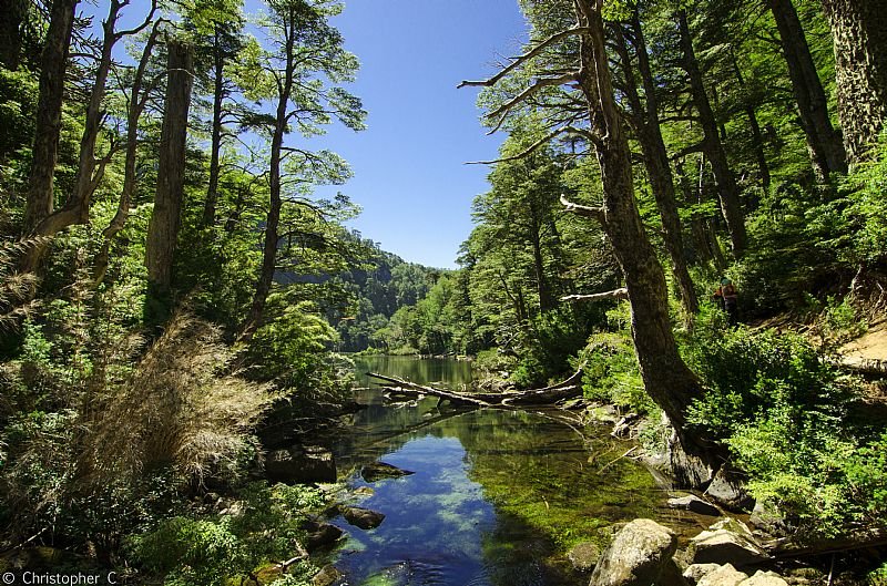 Pucón: Huerquehue National Park trekking and hiking