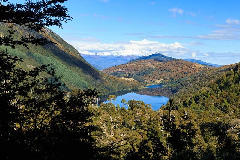 Everything You Need to Know About Huerquehue National Park
