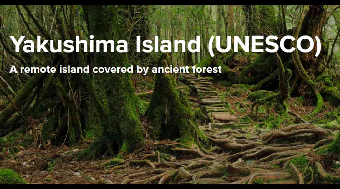 Yakushima Island (UNESCO) | World Heritage | Travel Japan - Japan National Tourism Organization (Official Site)