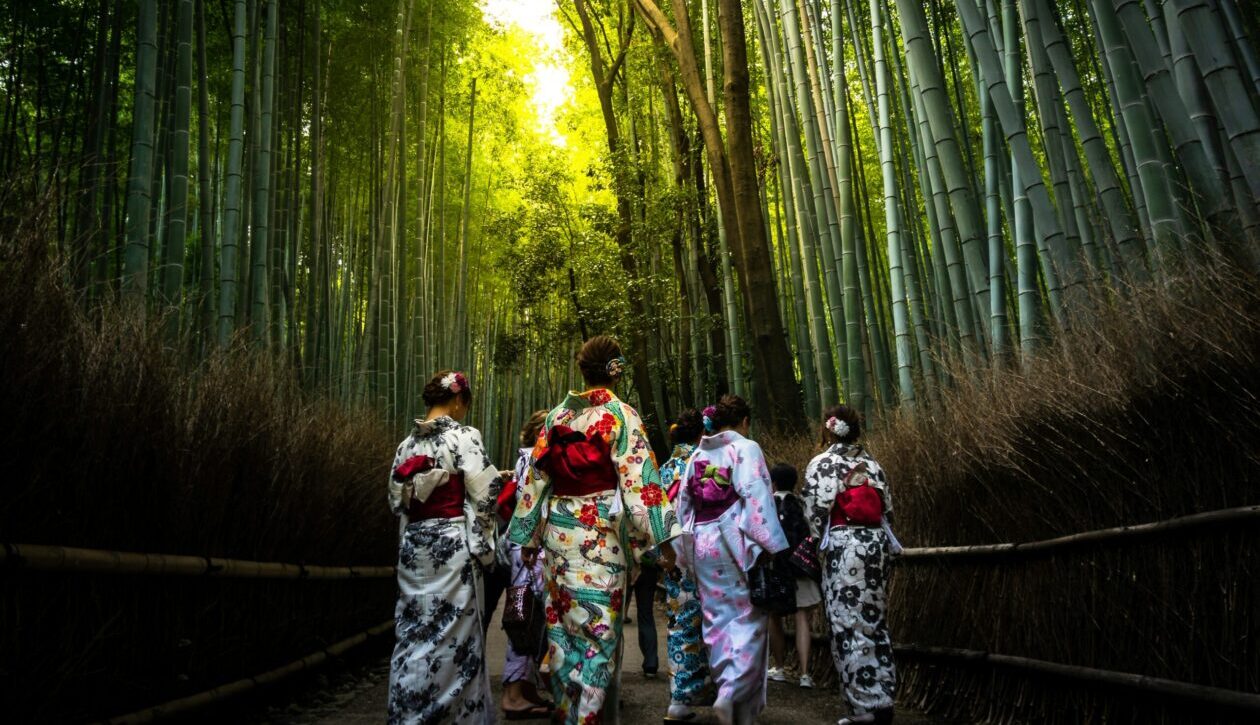 Arashiyama for First-Timers: Everything You Need to Know