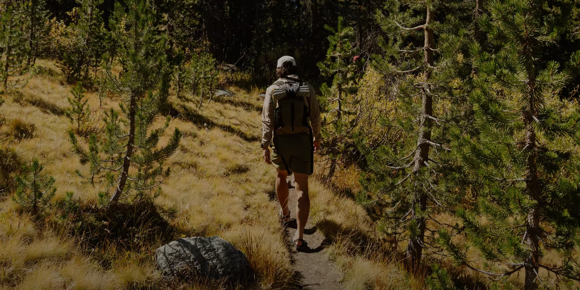 AllTrails: Trail Guides & Maps for Hiking, Camping, and Running