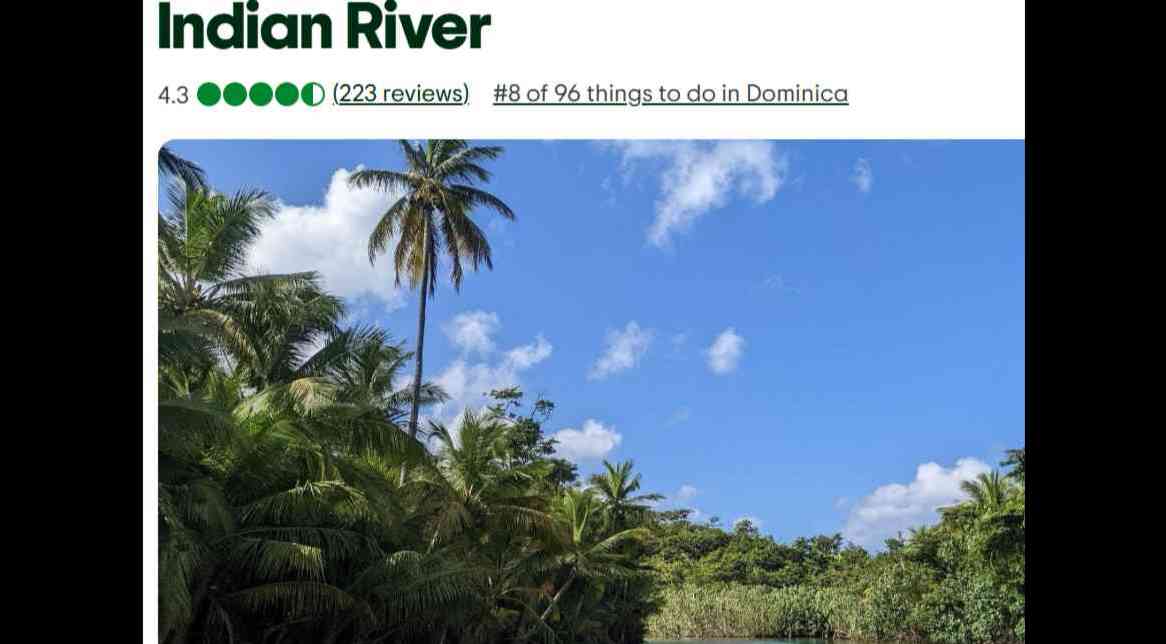 Trip Advisor