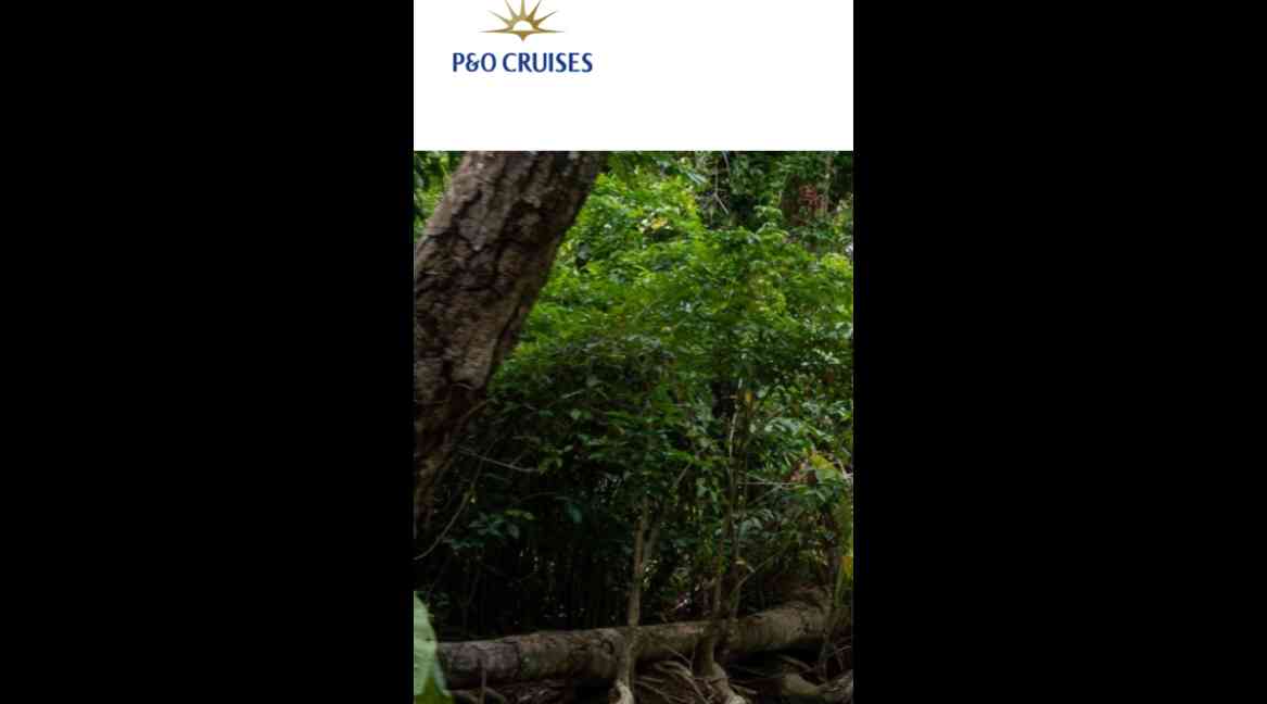 P&C Cruises