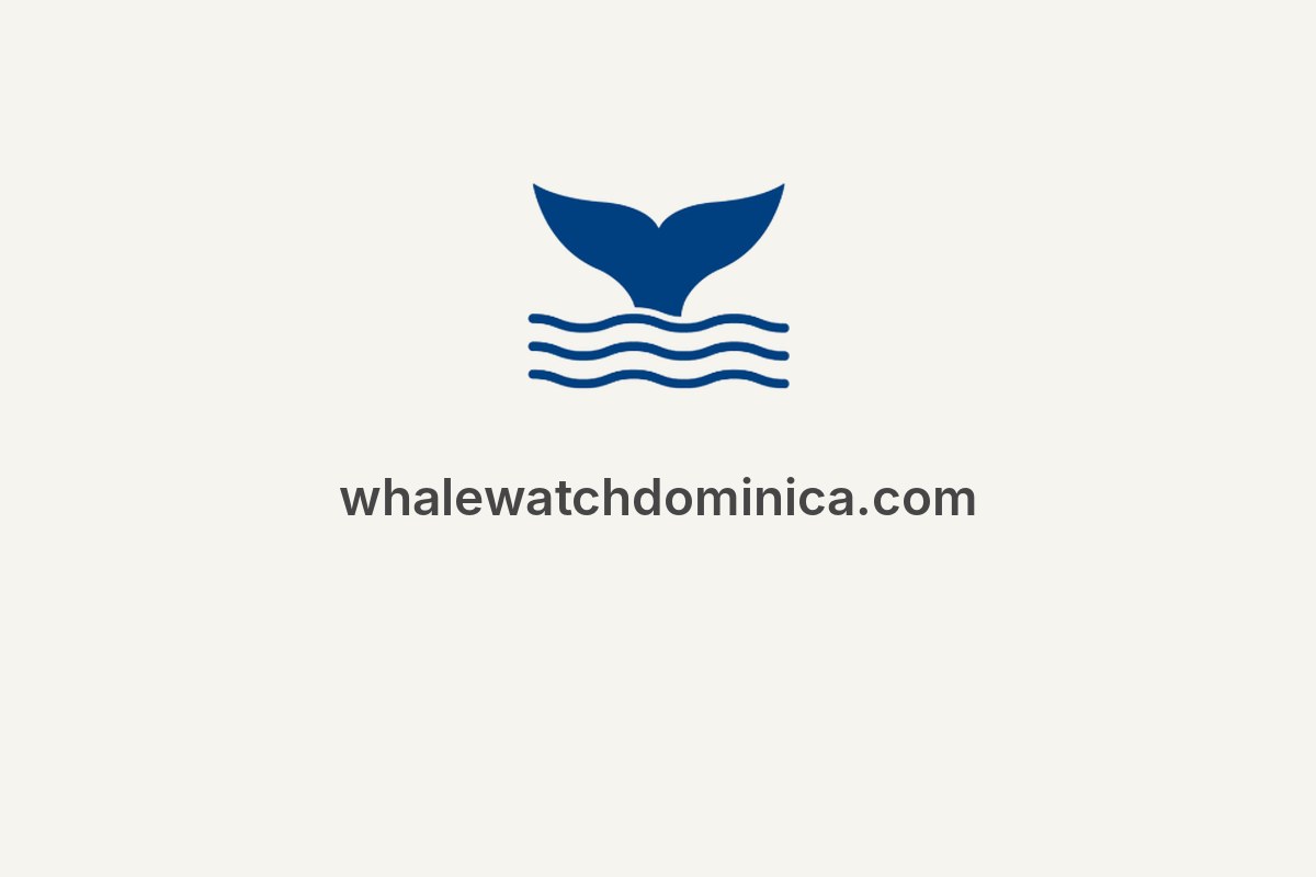 Whale Watch Dominica - PH Whale Watch Dominica