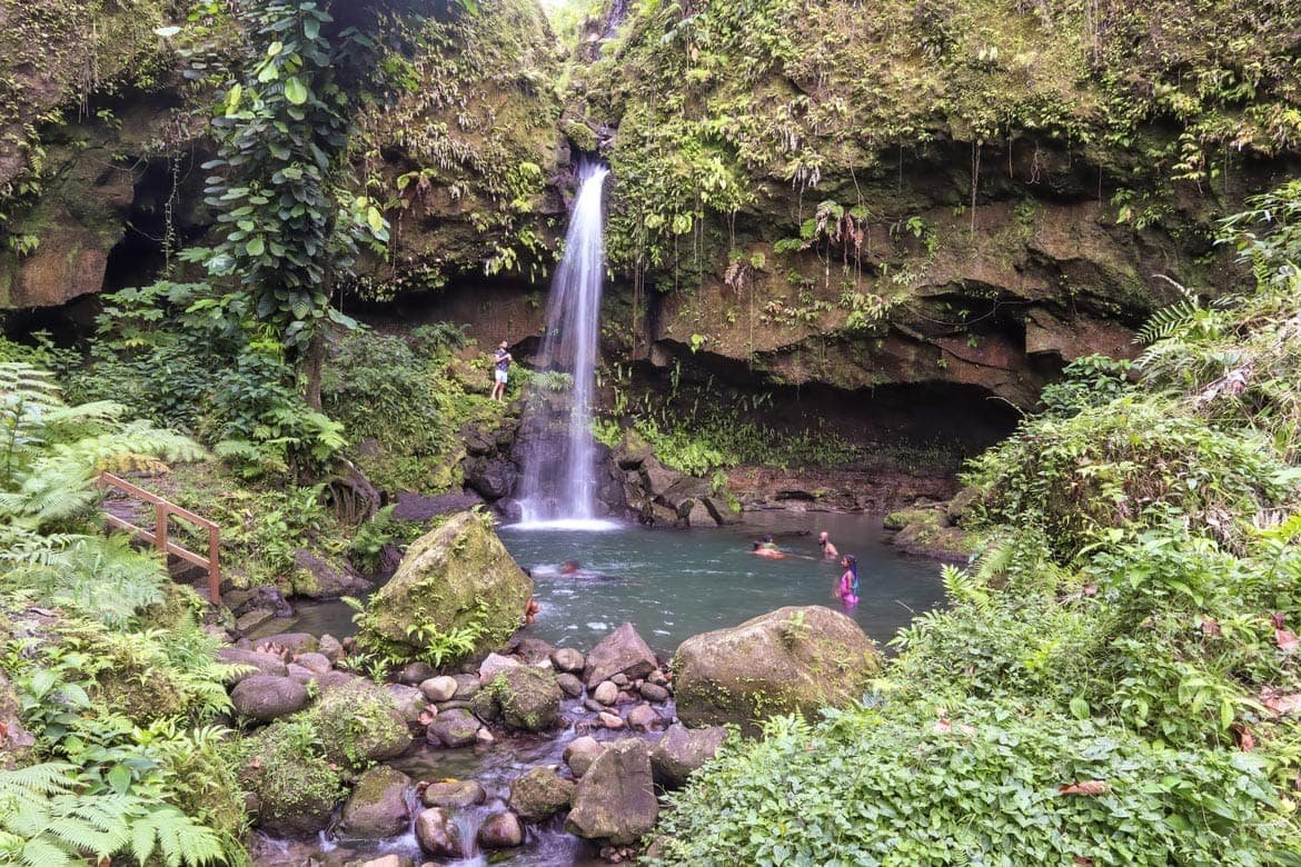 The Definitive Guide to Emerald Pool in Dominica