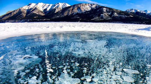 These stunning frozen methane bubbles were captured at Abraham Lake | CBC News
