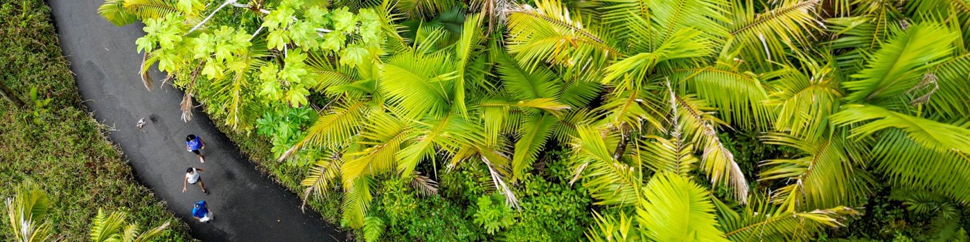 El Yunque National Forest