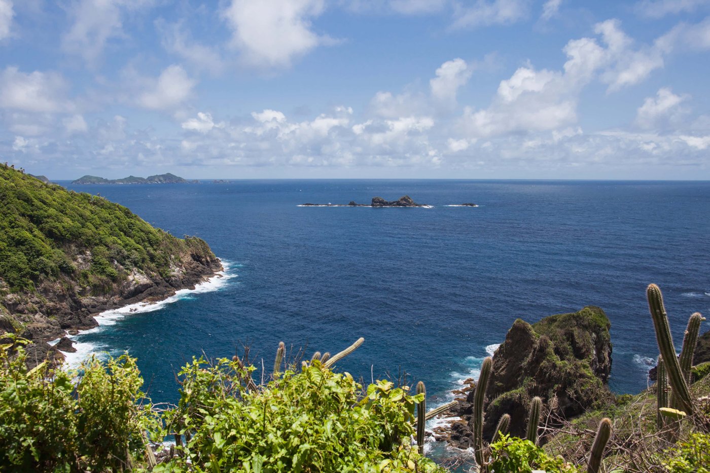 Diving in Tobago: 19 Best Dive Sites in Tobago in 2025 - DIVEIN