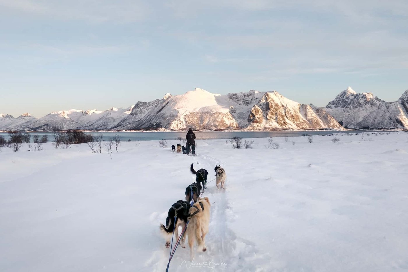 Where to go Dog Sledding in Finnish Lapland ? My ultimage guide !